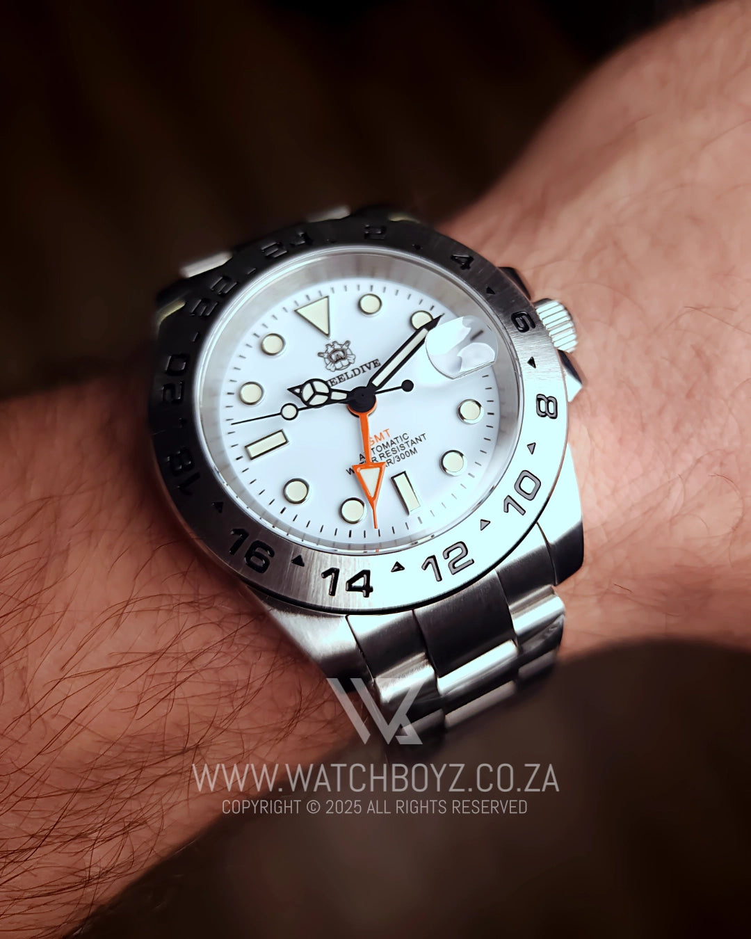 Steeldive SD1992 NH34 GMT 300M Automatic Watch